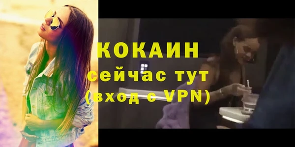 гашик Надым
