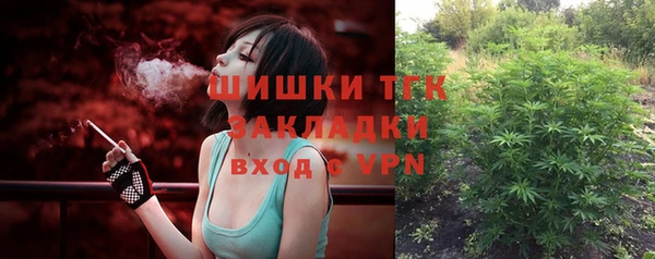 гидра Белокуриха