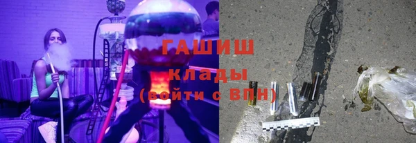 гидра Белокуриха